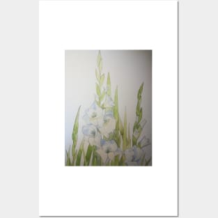 White Gladioli watercolor painting Posters and Art